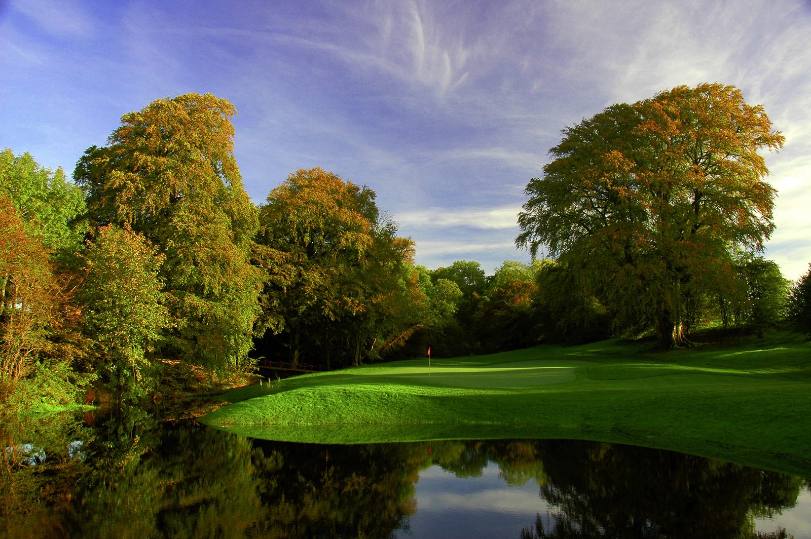 New Forest Golf Course